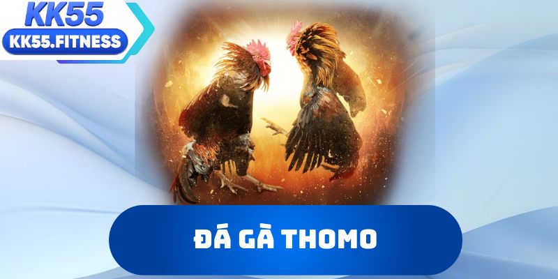 Đá gà Thomo